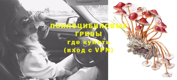 СК Навашино