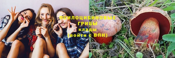 СК Навашино