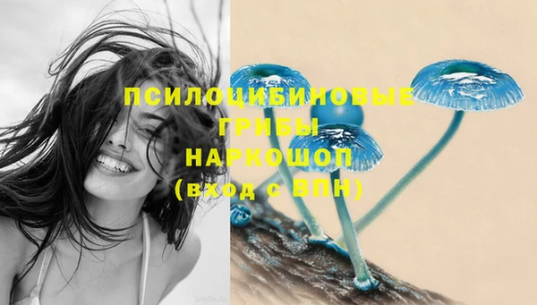 spice Михайловск