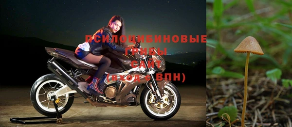 mdpv Михайлов